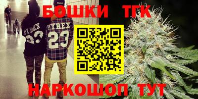 спиды Бердск