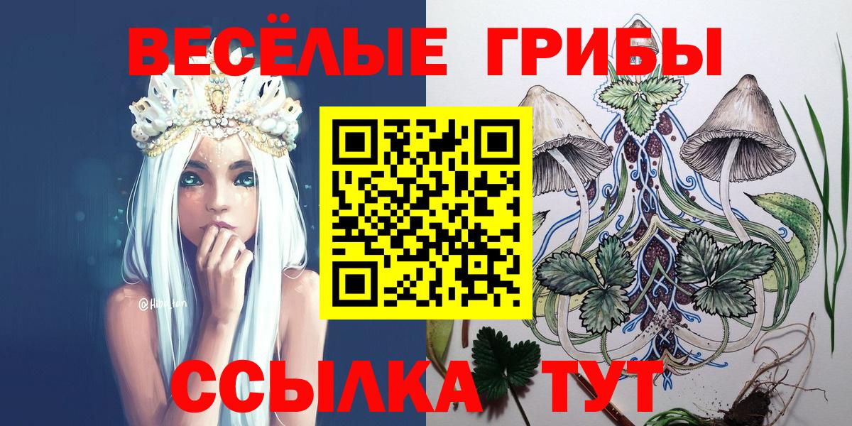 Псилоцибиновые грибы GOLDEN TEACHER  Галлюциногенные грибы ЛСД  Вход с VPN  Вязьма 
