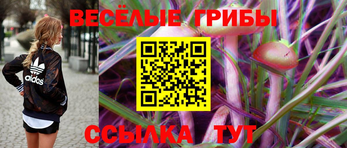 Галлюциногенные грибы мухоморы Вязьма